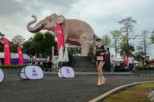 BIB: 
                            <button type="button" onclick="openModal(26528570)" class="btn btn-primary btn-sm float-right btn-popup" data-toggle="modal" data-target=".modal-high-quality">
                        <i class="fas fa-shopping-cart"></i> Add to Cart
                    </button>
                                            <button type="button" onclick="isThisMe(26528570, true)" class="btn btn-success btn-sm float-right btn-popup btn-isme hidden" data-toggle="tooltip" data-placement="bottom" title="นี่คือรูปของคุณใช่ไหม คลิกที่นี่เพื่อเอาเข้าอัลบั้ม">
                        <i class="fas fa-plus"></i> Add to album
                    </button>
                    <button type="button" onclick="isThisMe(26528570, false)" class="btn btn-warning btn-sm float-right btn-popup btn-isnotme hidden">
                        <i class="fas fa-ban"></i> Remove from album
                    </button>